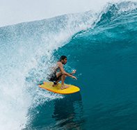 Craig Anderson