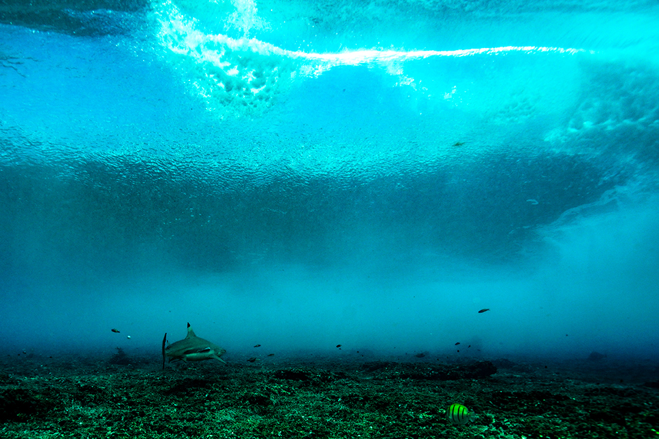 Surfing Champions Trophy image 14