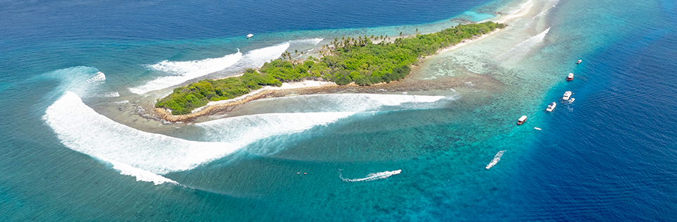 SIX SURFERS. THREE BOARDS. GAME ON.